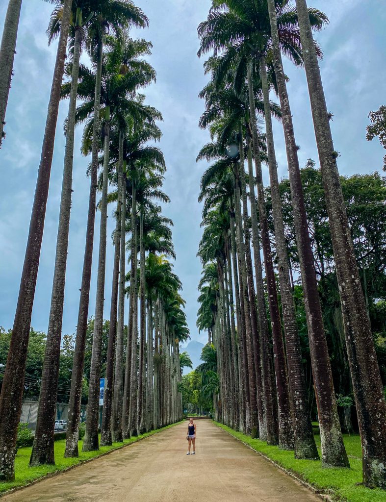 Jardim botanico de Rio Janeiro