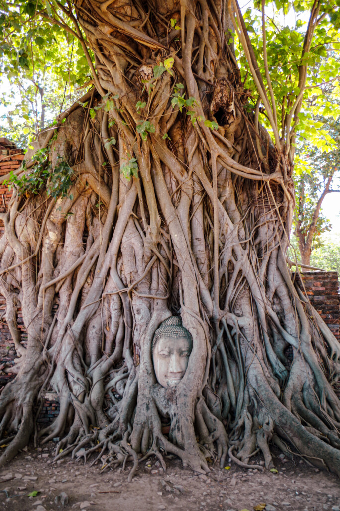 Thaïlande - Ayutthaya - Wat Mahatat